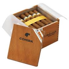 Cohiba Robustos