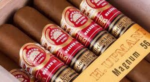 H. Upmann Magnum 56 Edicion Limitada 2015